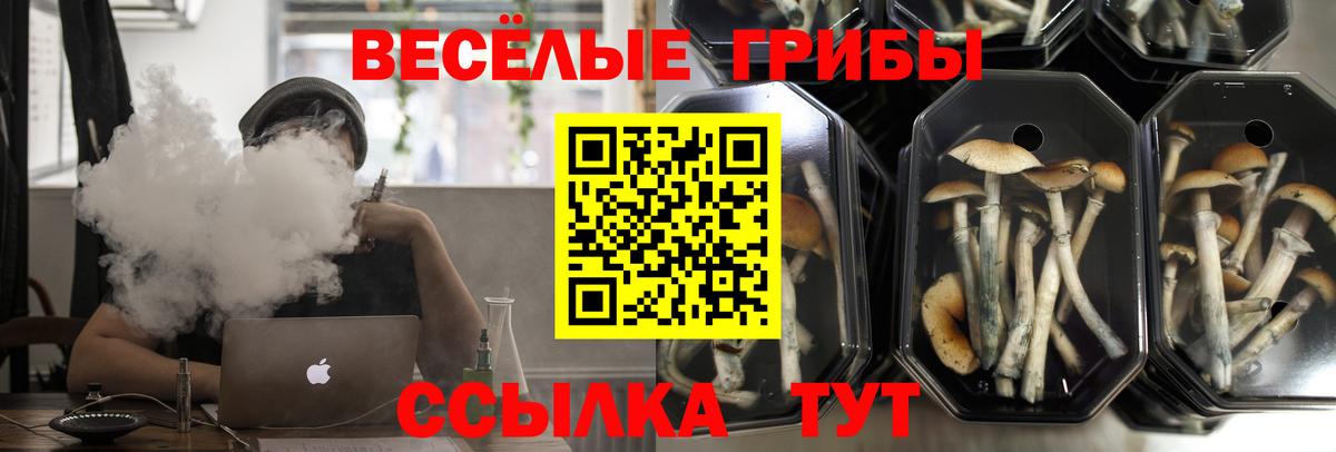 Галлюциногенные грибы Magic Shrooms  Вход с VPN  Псилоцибиновые грибы Cubensis  Белореченск 